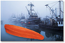 Photo of Salmon Boats in Fog
